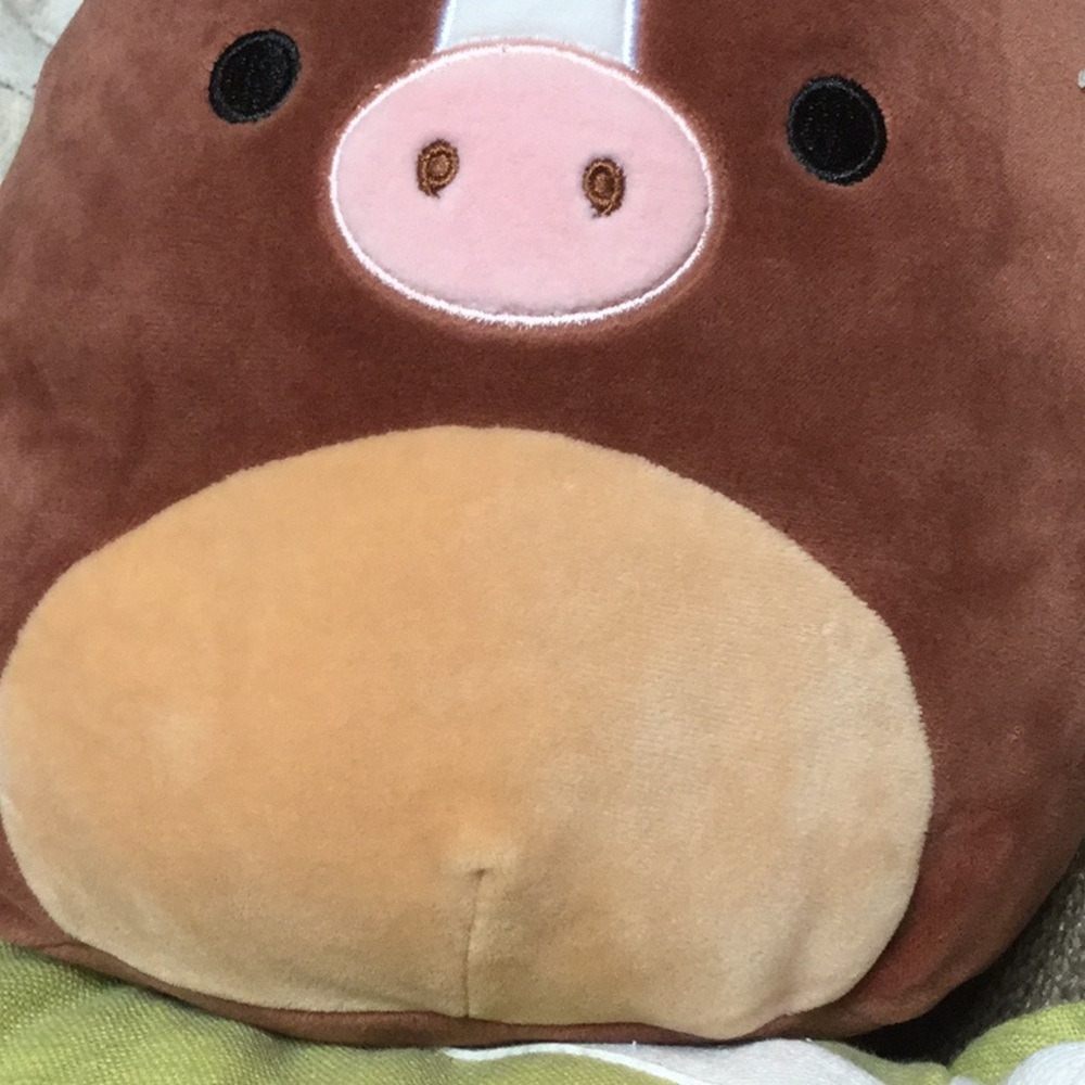 Brushy squishmallows horse rodeo travel cowgirl cowboy festival farmer’s market - Picture 3 of 9